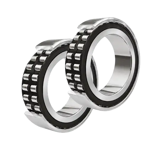 Dual Bearing Set